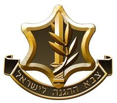 קורות חיים והכנה לראיון עבודה