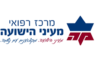 יעוץ ארגוני וסדנאות שירות מעייני הישועה